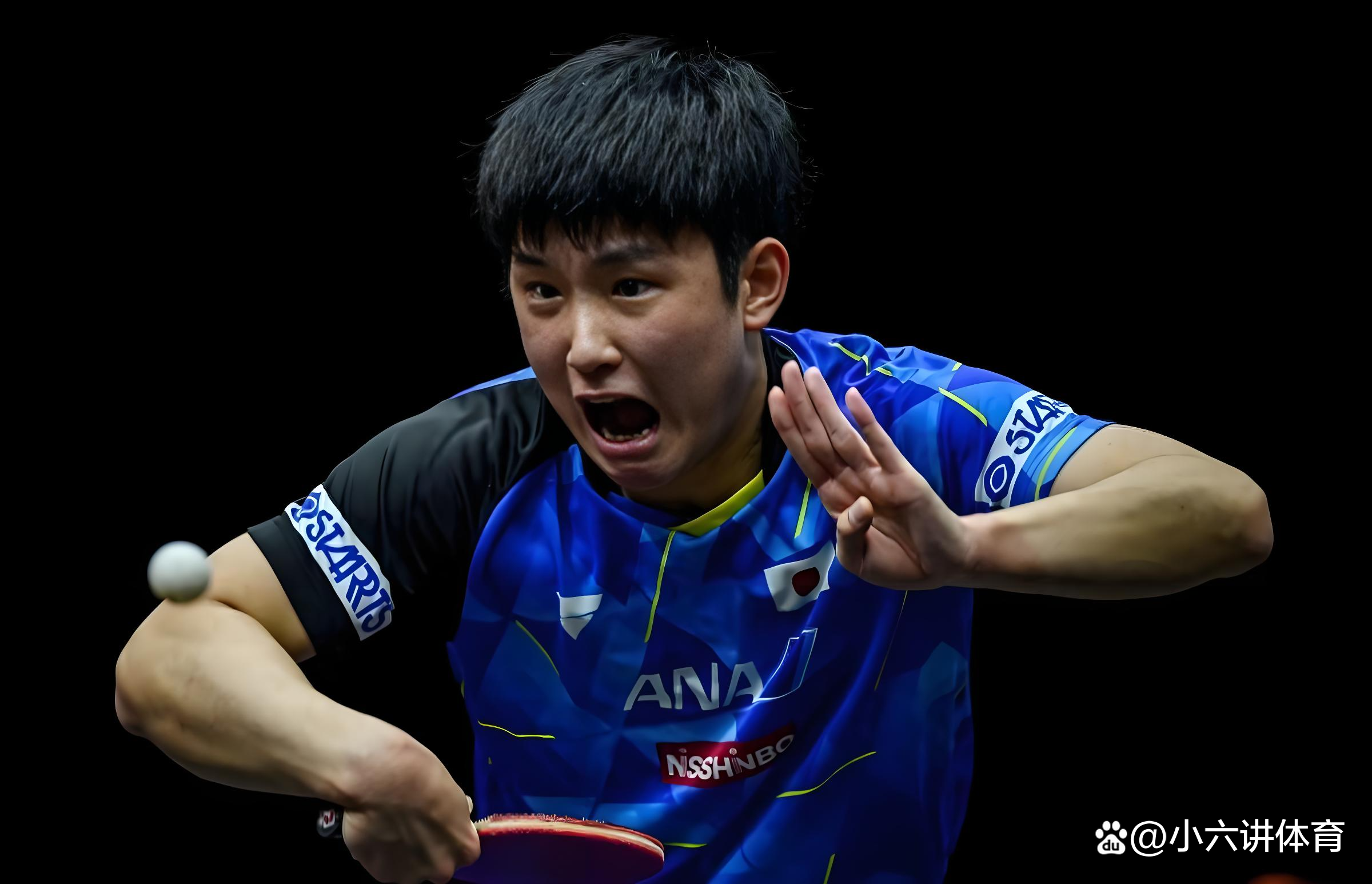 开云sport-波兰队险胜瑞典队，张本智和统治全场