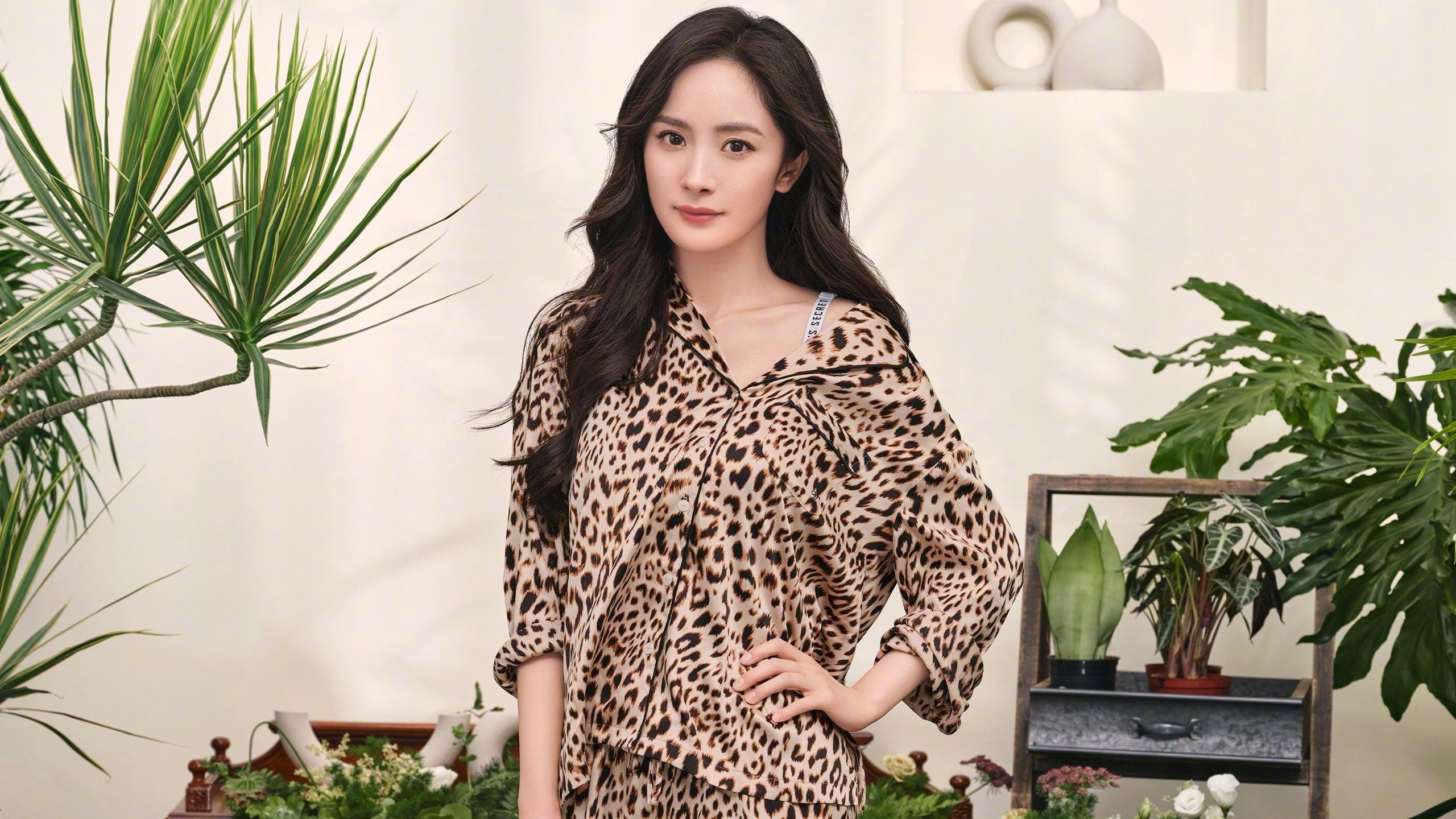 独舞与合奏，当马克西的48分之夜奏响深圳横扫山西的狂想曲