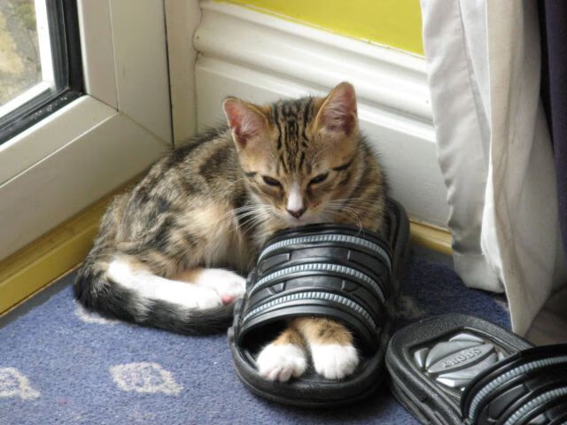 大场面先生，萨拉赫为何能同时让曼城与阿根廷颤抖？