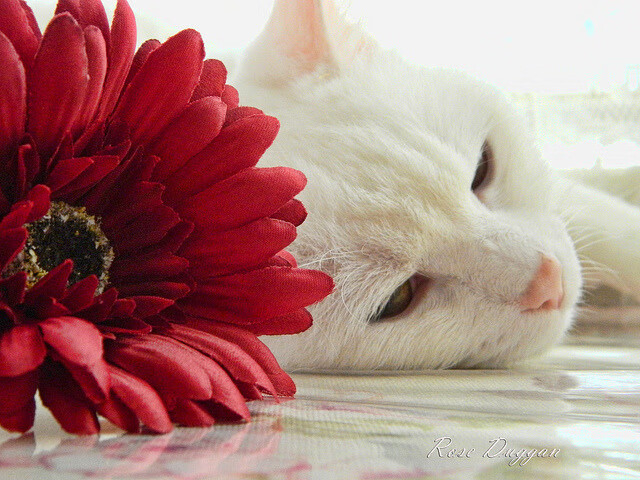 开云体育2026-45分血洗！恩比德末节23分觉醒，灰熊解锁季后赛最强形态