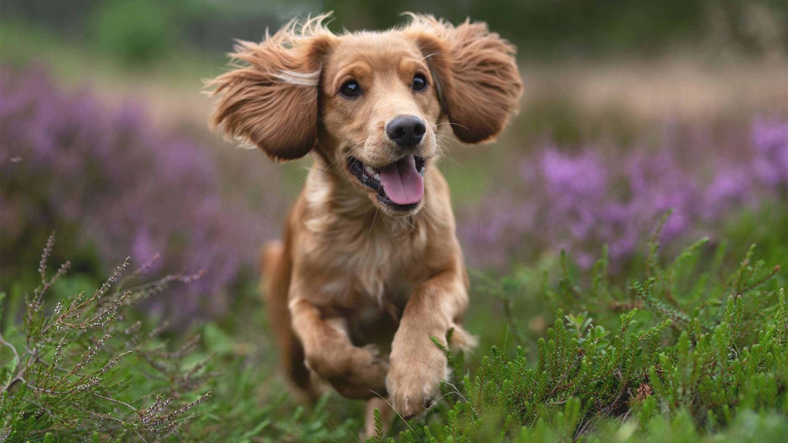 乔治生涯唯一之夜,那个瞬间,他成为自己故事的主人公