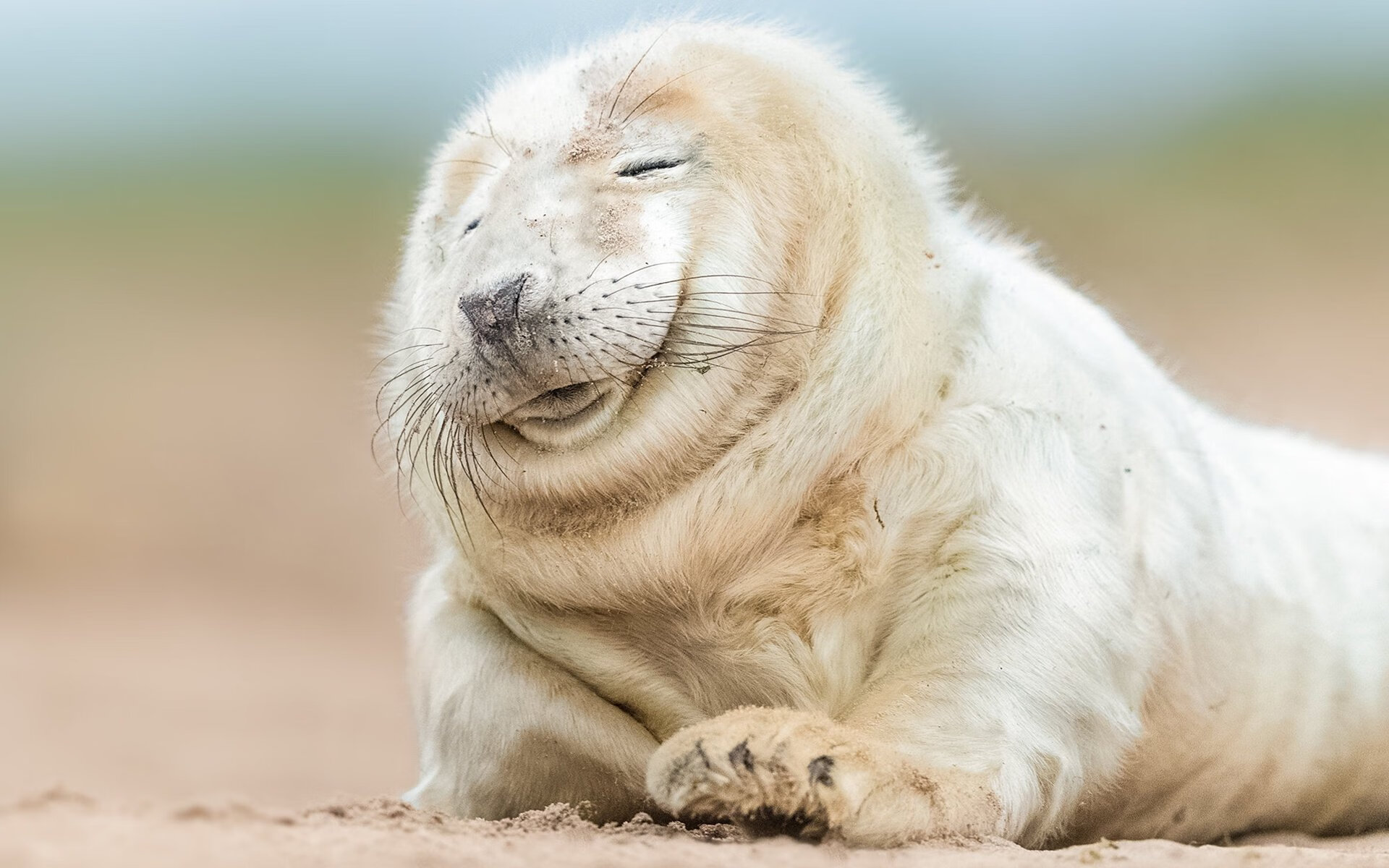 开云体育APP下载-超越传奇之役，莫兰特在总决赛之夜完成跨越时代的里程碑