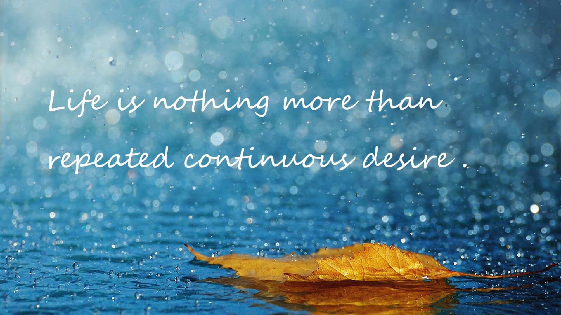 当马奎尔遇见卡瓦哈尔，一场虚构的跨界生死战如何重写现代竞技叙事