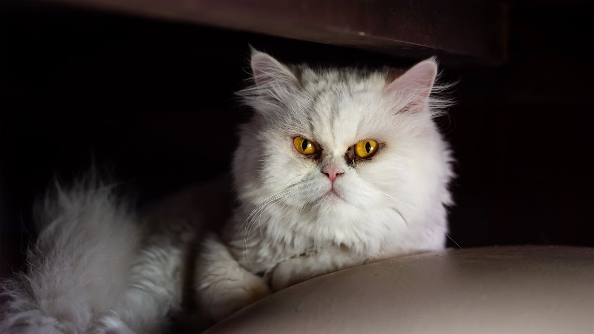 开云体育APP下载-沉默的巨塔，金玟哉一夫当关，加纳闪电劈开希腊卫城墙