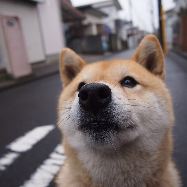 高光之战,当公式篮球被一束不可计算的光刺穿
