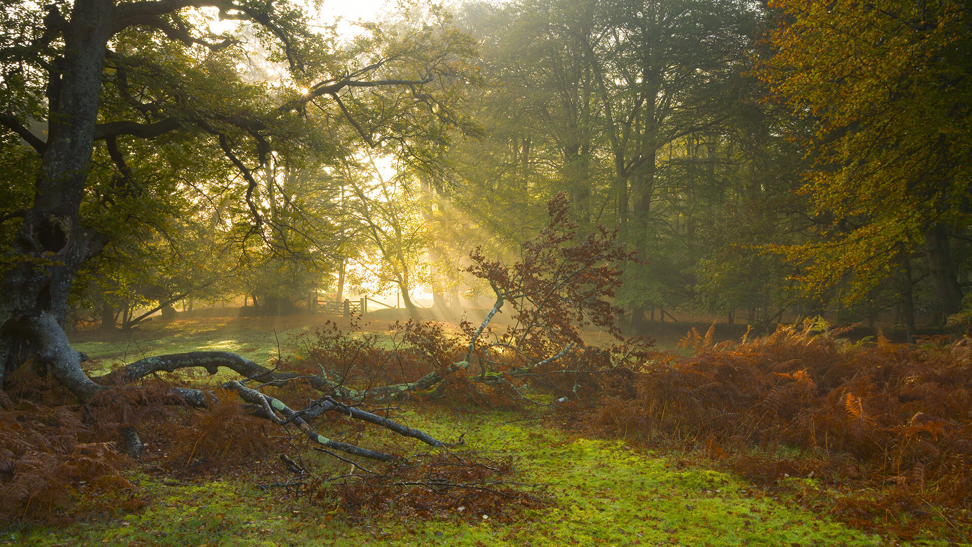 开云体育app-逆行的时针，当莫德里奇爆发时，雷恩已连续得分压垮日本黄昏