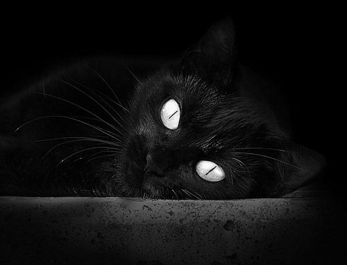 平行记忆，罗德里的一粒进球，与七年未愈的伤口