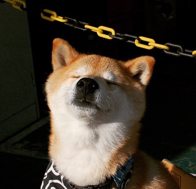 北方之战与南方之光,当芬兰冰川见证弗拉霍维奇的烈焰里程碑