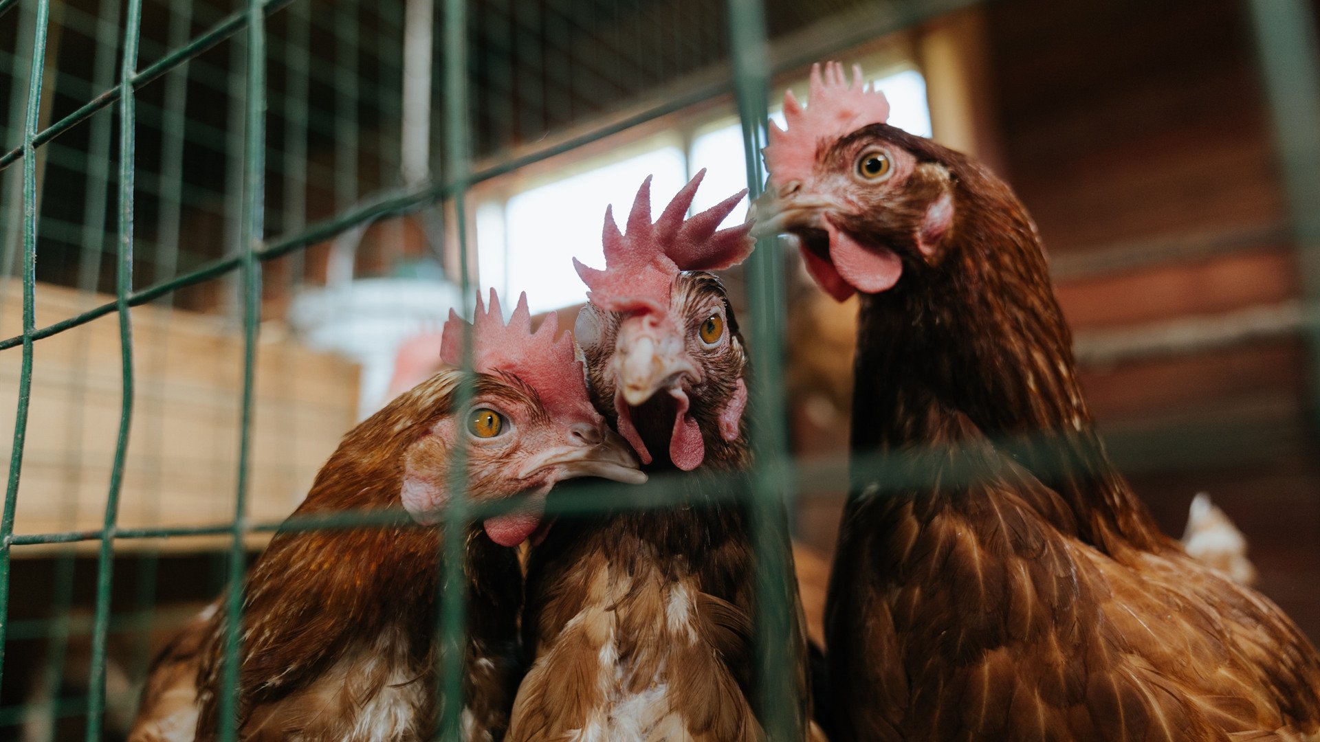 教科书式的统治力，阿什拉夫如何定义现代边卫的唯一性