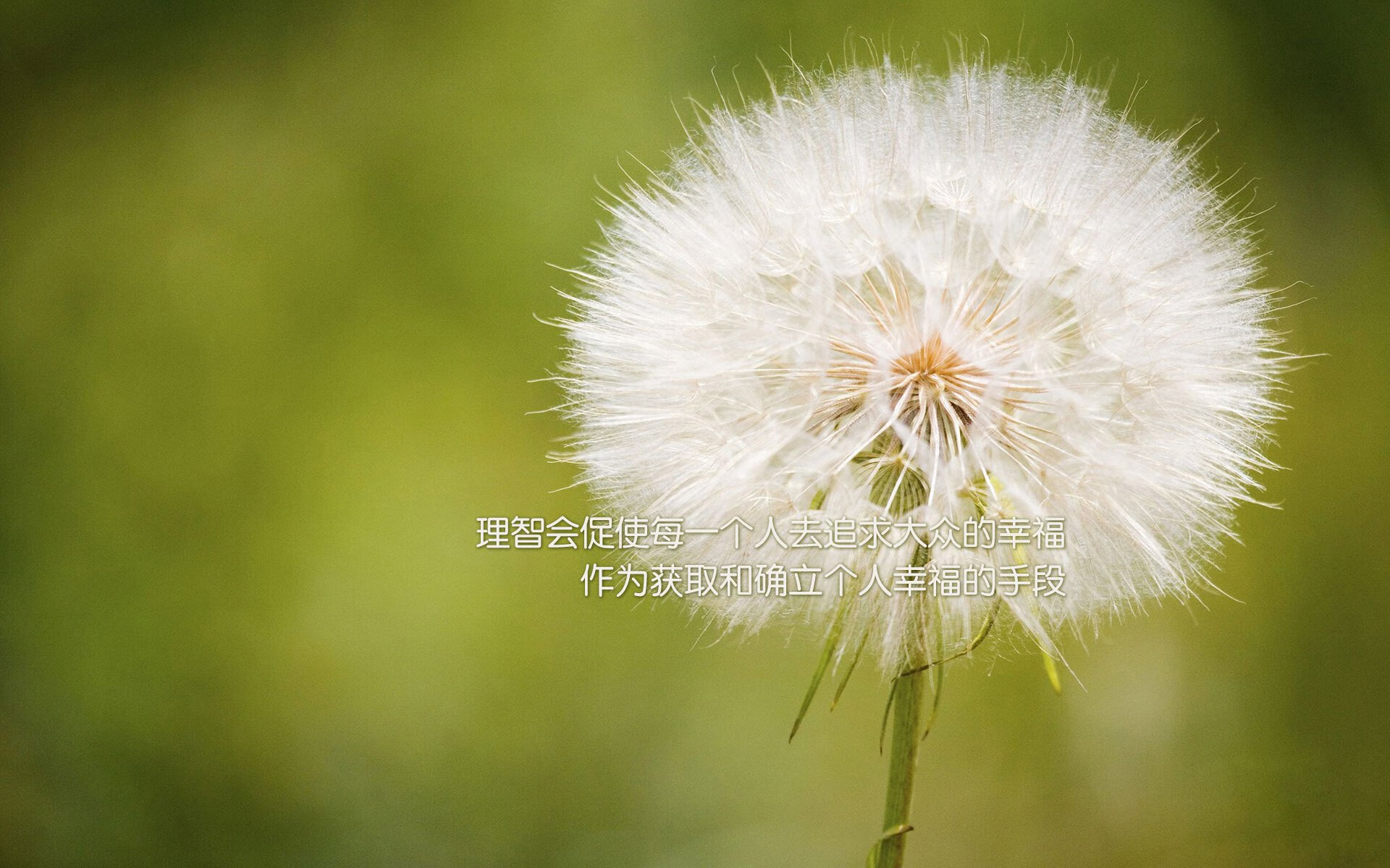 开云体育APP下载-巴斯克德比中的‘福登现象’毕尔巴鄂对阵皇家社会的稳定之战